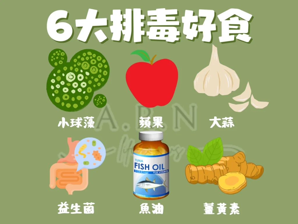 身體排毒方法